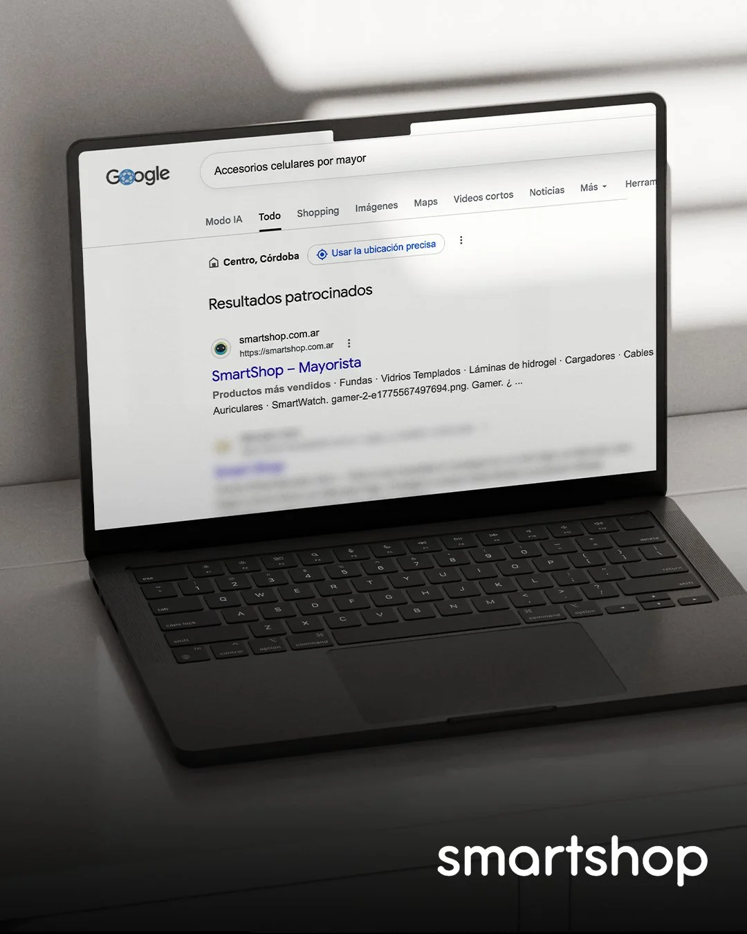 Campaña Smartshop Search