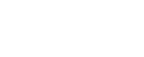 Guanaco